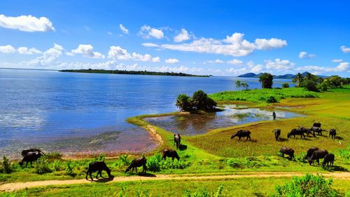 Mystical Wetlands Of India That Should Be Your Next Holiday Destination 